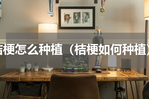 桔梗怎么种植（桔梗如何种植）