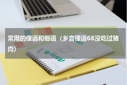 常用的俚语和俗语（乡言俚语68没吃过猪肉）