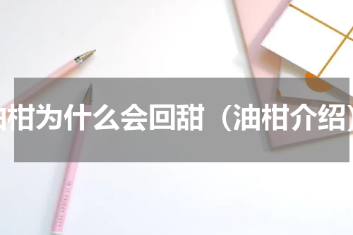 油柑为什么会回甜（油柑介绍）