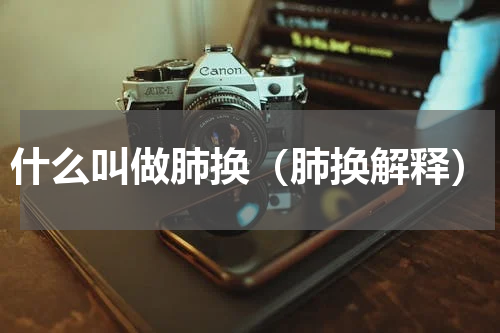 什么叫做肺换（肺换解释）