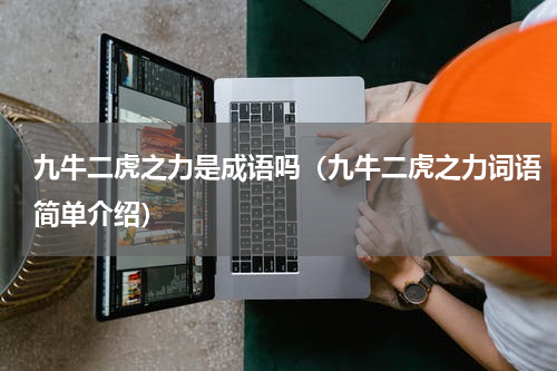 九牛二虎之力是成语吗（九牛二虎之力词语简单介绍）