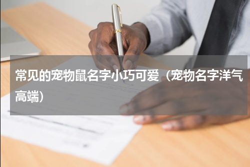 常见的宠物鼠名字小巧可爱（宠物名字洋气高端）