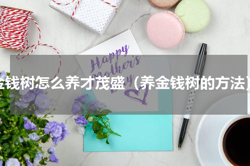 金钱树怎么养才茂盛（养金钱树的方法）
