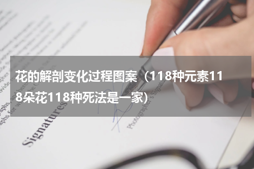花的解剖变化过程图案（118种元素118朵花118种死法是一家）