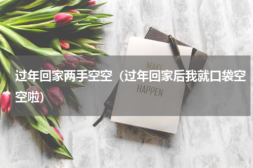 过年回家两手空空（过年回家后我就口袋空空啦）
