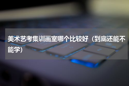 美术艺考集训画室哪个比较好（到底还能不能学）