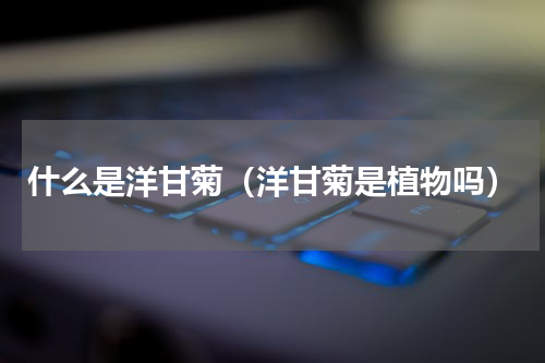 什么是洋甘菊（洋甘菊是植物吗）