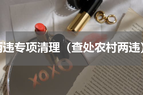 两违专项清理（查处农村两违）