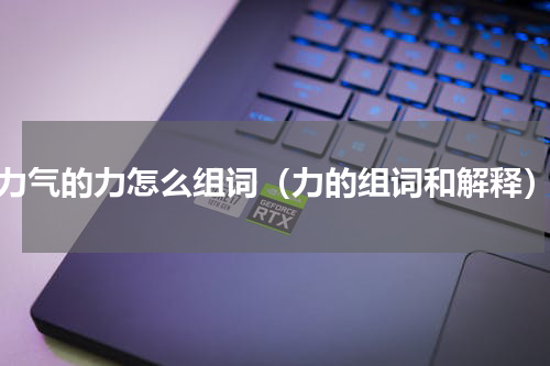 力气的力怎么组词（力的组词和解释）