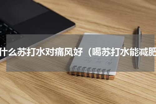 喝什么苏打水对痛风好（喝苏打水能减肥）