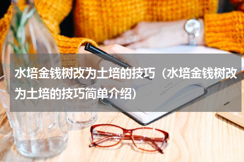 水培金钱树改为土培的技巧（水培金钱树改为土培的技巧简单介绍）
