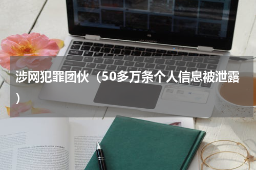涉网犯罪团伙（50多万条个人信息被泄露）
