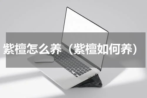 紫檀怎么养（紫檀如何养）