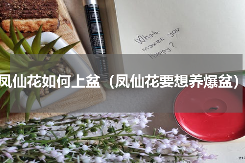 凤仙花如何上盆（凤仙花要想养爆盆）
