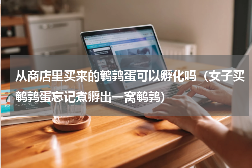 从商店里买来的鹌鹑蛋可以孵化吗（女子买鹌鹑蛋忘记煮孵出一窝鹌鹑）