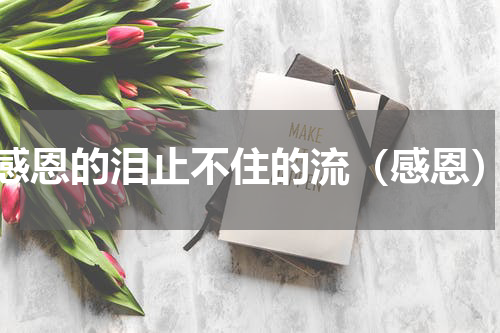 感恩的泪止不住的流（感恩）
