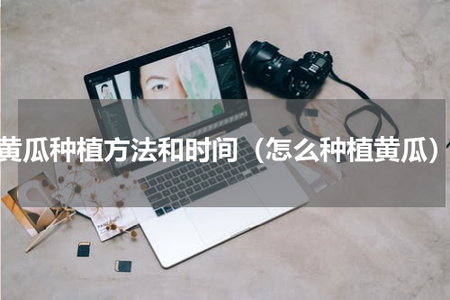 黄瓜种植方法和时间（怎么种植黄瓜）