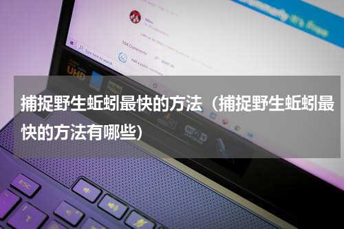 捕捉野生蚯蚓最快的方法（捕捉野生蚯蚓最快的方法有哪些）
