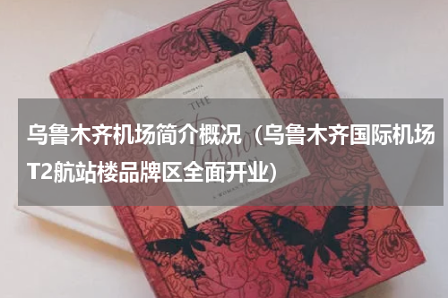 乌鲁木齐机场简介概况（乌鲁木齐国际机场T2航站楼品牌区全面开业）