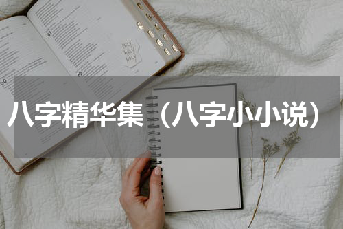 八字精华集（八字小小说）