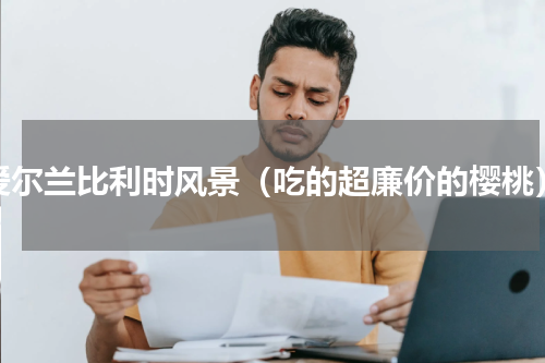 爱尔兰比利时风景（吃的超廉价的樱桃）