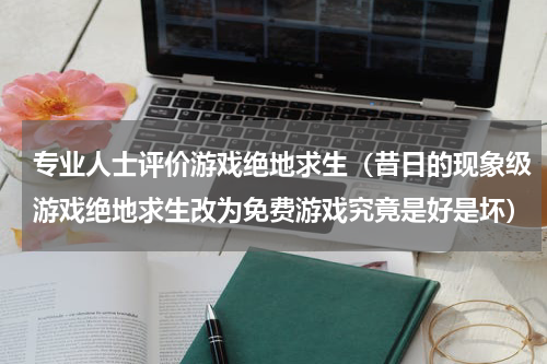 专业人士评价游戏绝地求生（昔日的现象级游戏绝地求生改为免费游戏究竟是好是坏）