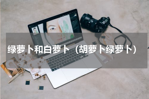 绿萝卜和白萝卜（胡萝卜绿萝卜）