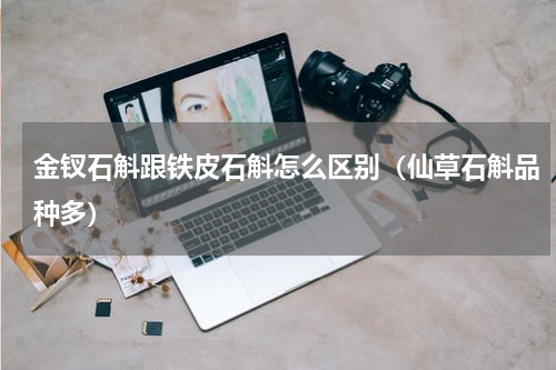 金钗石斛跟铁皮石斛怎么区别（仙草石斛品种多）