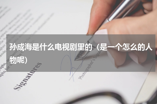 孙成海是什么电视剧里的（是一个怎么的人物呢）