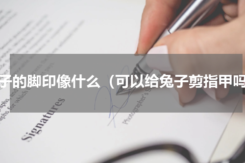 兔子的脚印像什么（可以给兔子剪指甲吗）