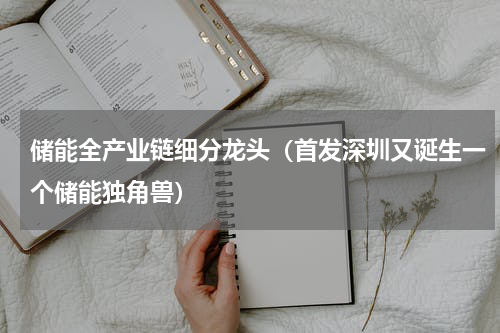 储能全产业链细分龙头（首发深圳又诞生一个储能独角兽）