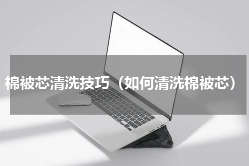 棉被芯清洗技巧（如何清洗棉被芯）