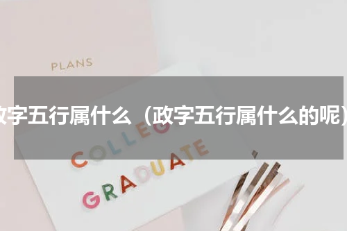 政字五行属什么（政字五行属什么的呢）
