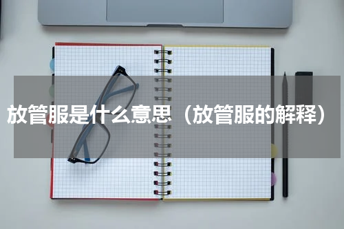 放管服是什么意思（放管服的解释）