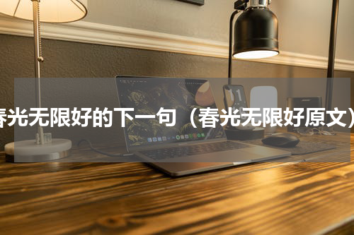 春光无限好的下一句（春光无限好原文）
