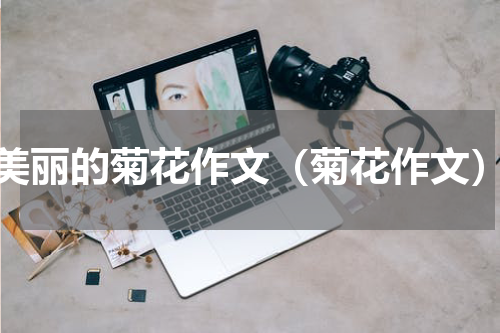 美丽的菊花作文（菊花作文）