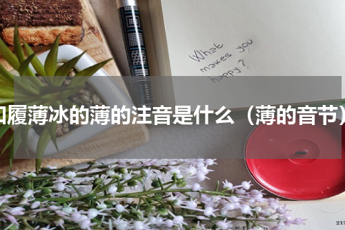 如履薄冰的薄的注音是什么（薄的音节）