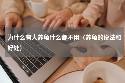 为什么有人养龟什么都不用（养龟的说法和好处）
