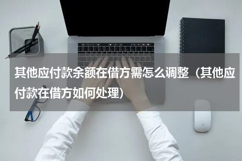 其他应付款余额在借方需怎么调整（其他应付款在借方如何处理）