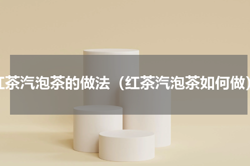红茶汽泡茶的做法（红茶汽泡茶如何做）