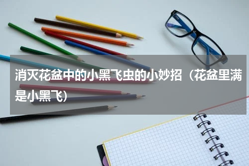 消灭花盆中的小黑飞虫的小妙招（花盆里满是小黑飞）