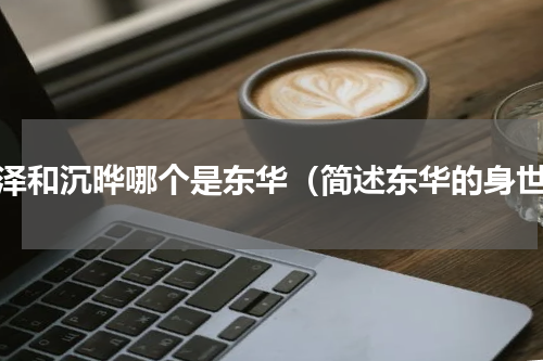 息泽和沉晔哪个是东华（简述东华的身世）