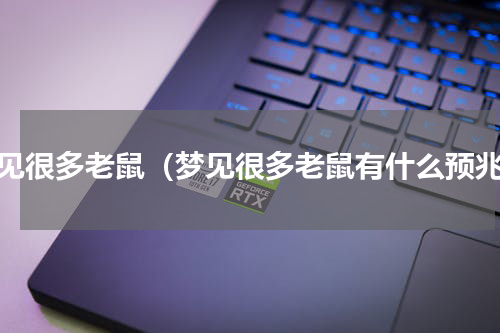 梦见很多老鼠（梦见很多老鼠有什么预兆）