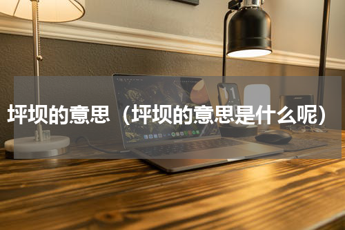 坪坝的意思（坪坝的意思是什么呢）