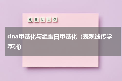 dna甲基化与组蛋白甲基化（表观遗传学基础）