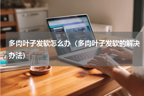 多肉叶子发软怎么办（多肉叶子发软的解决办法）