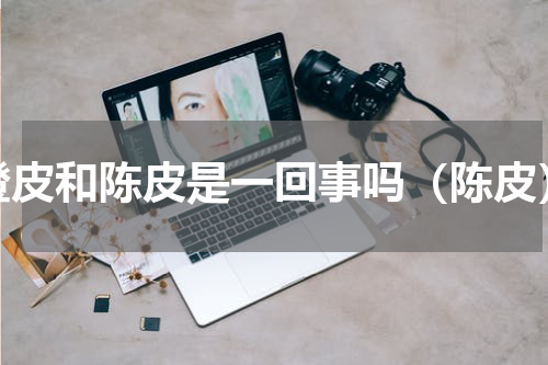 橙皮和陈皮是一回事吗（陈皮）