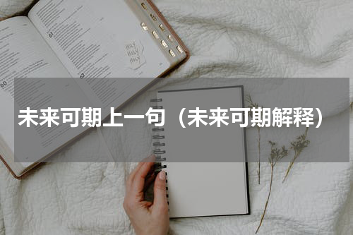 未来可期上一句（未来可期解释）