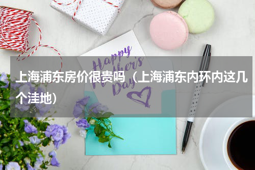 上海浦东房价很贵吗（上海浦东内环内这几个洼地）