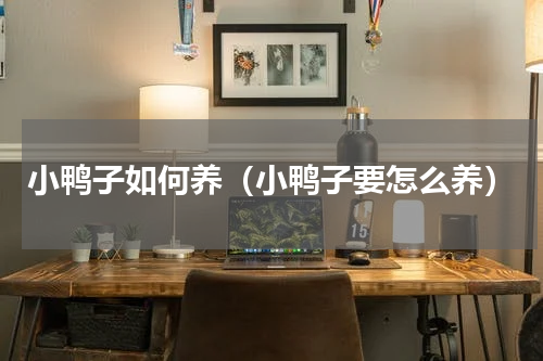 小鸭子如何养（小鸭子要怎么养）